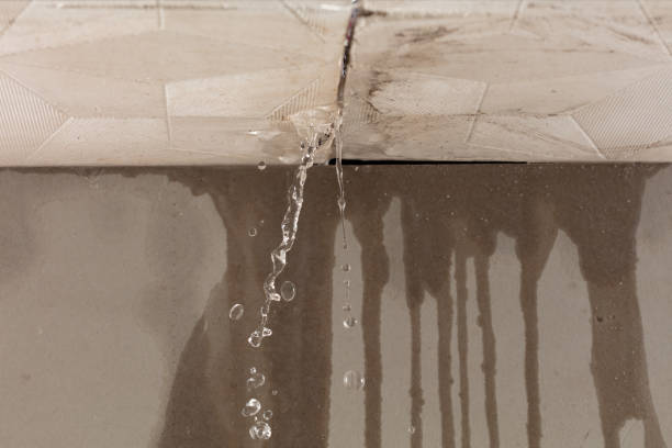 Professional Burst Pipe Cleanup technician working in Otter Lake, MI